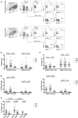 Constitutive Activation of Natural Killer Cells in Primary Biliary Cholangitis